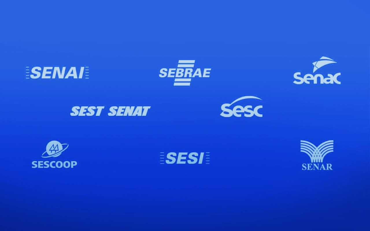 SEBRAE: Como ele impulsiona micro e pequenas empresas no Brasil