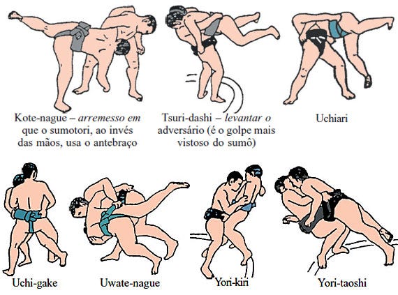 o que é sumo regras