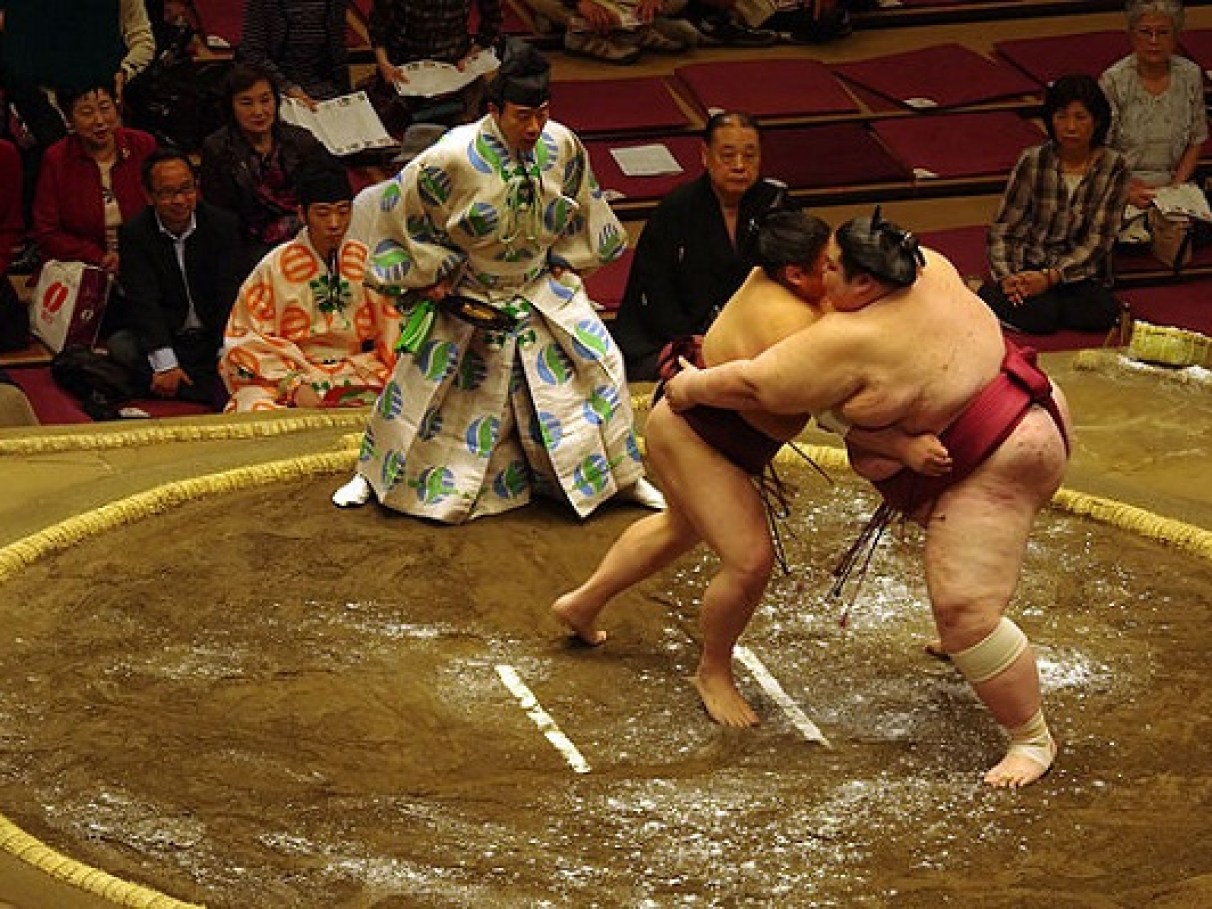 o que é sumo regras