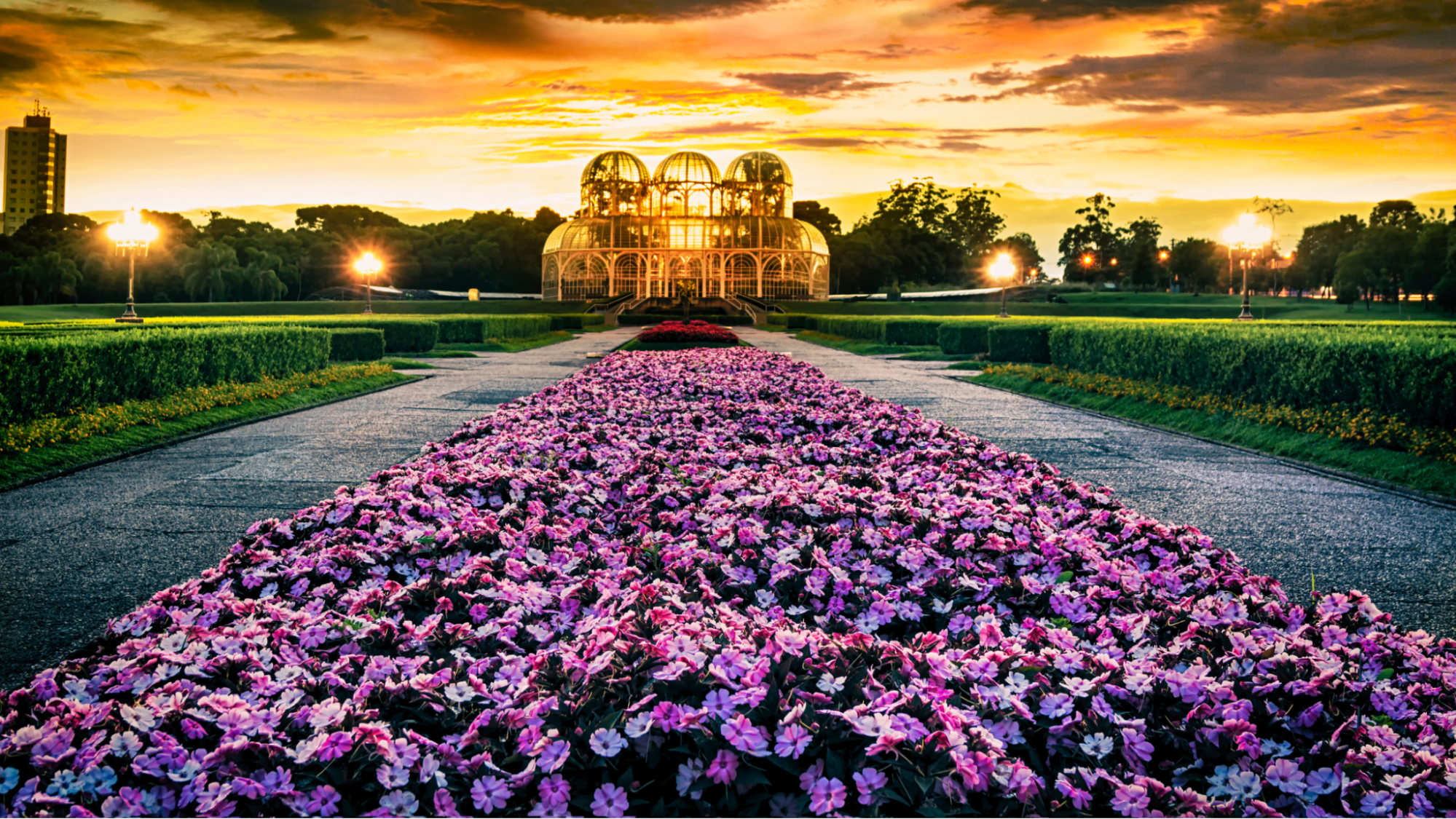 Jardim das Sensações: Uma Experiência Imersiva no Botânico de Curitiba