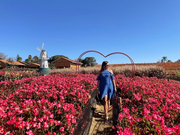 Melhores Campos de Flores para Fotos em Holambra