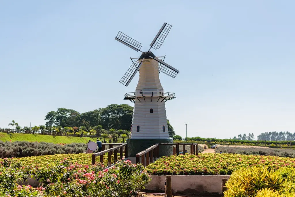 Guia Completo: Como Chegar em Holambra e Onde se Hospedar