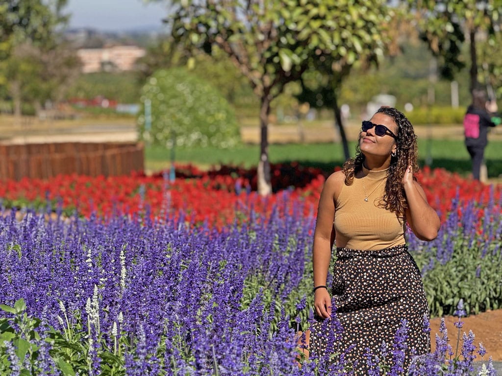 Guia Completo: Como Chegar em Holambra e Onde se Hospedar