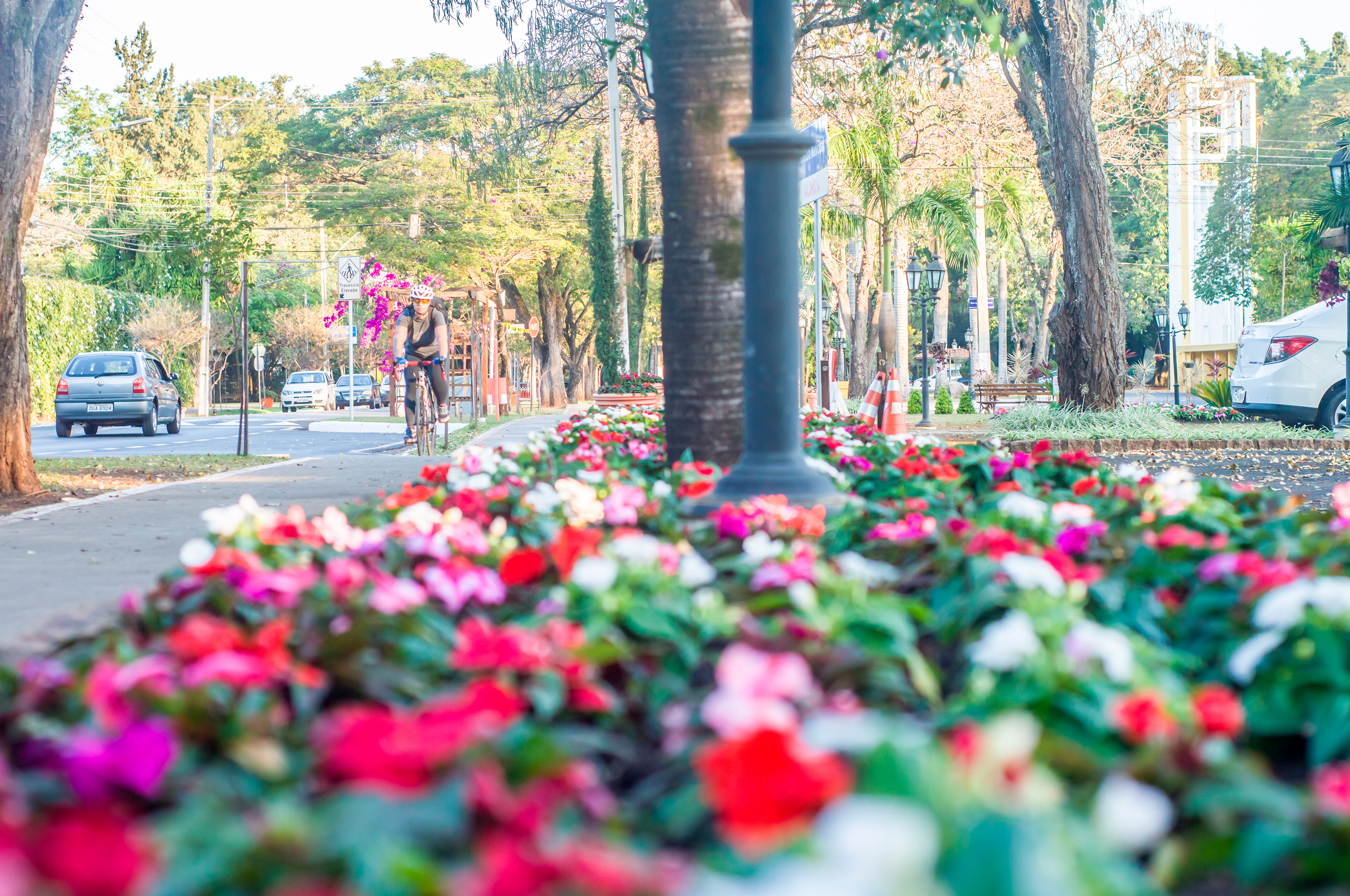 Holambra Gratuita: Pontos Turísticos para Visitar sem Gastar