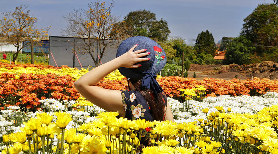 o que fazer em holambra cidade das flores