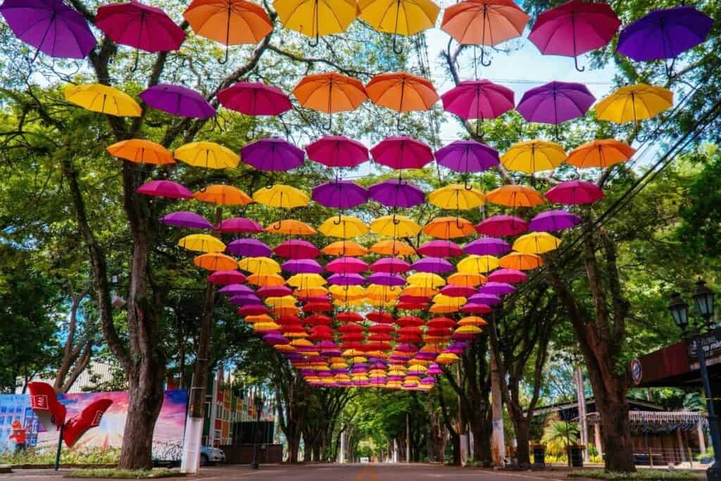 Melhores Campos de Flores para Fotos em Holambra