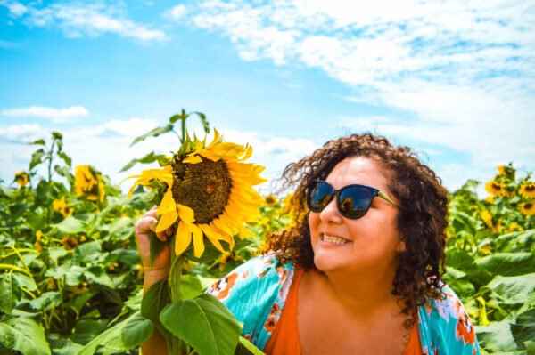 o que fazer em holambra cidade das flores