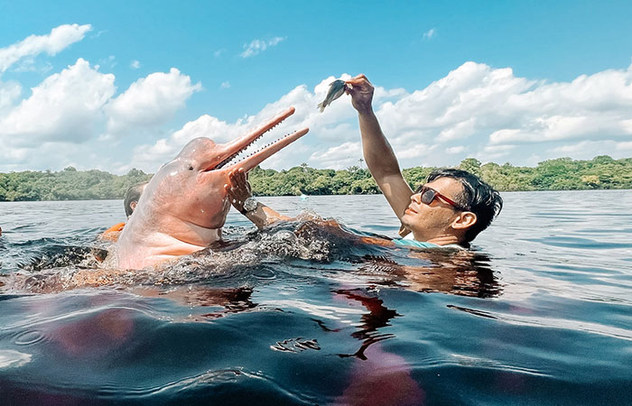 Guia Completo: Como Escolher Seu Passeio de Boto na Amazônia