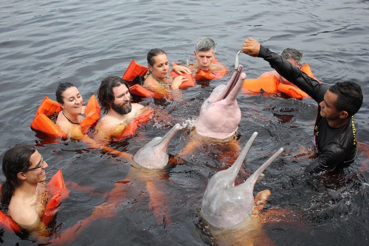 Além dos Botos: O Que Fazer em Manaus e Arredores