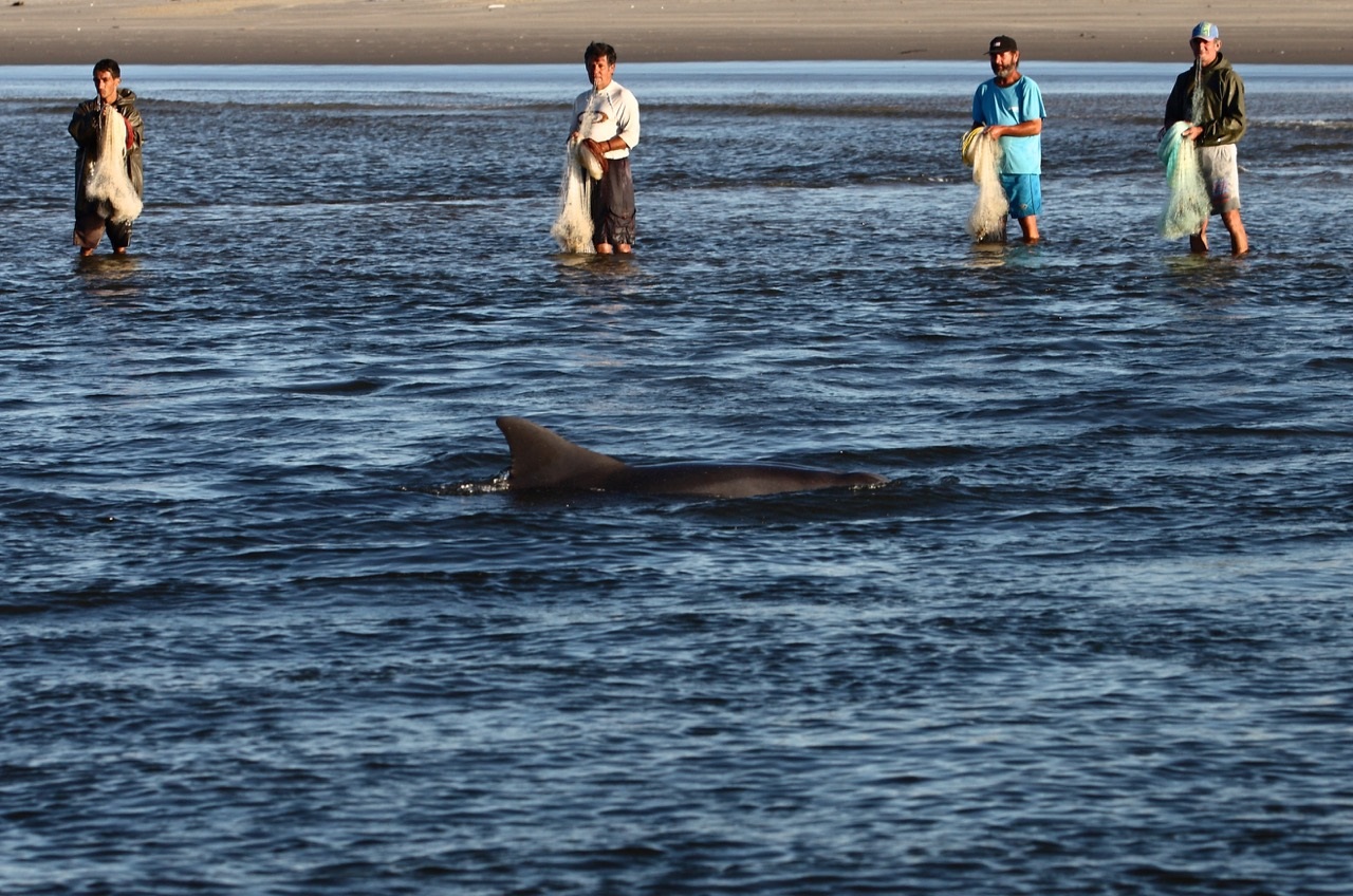 Guia Completo: Como Escolher Seu Passeio de Boto na Amazônia