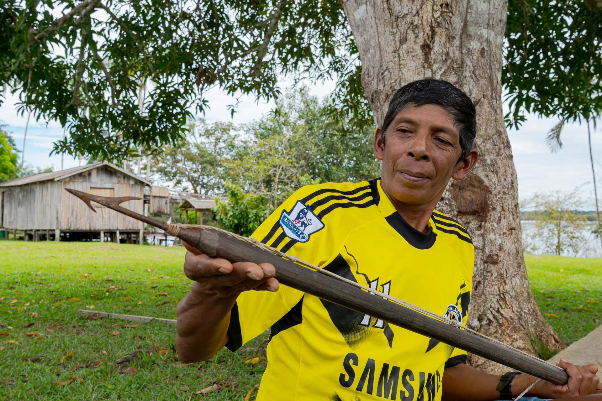 Boto-cor-de-rosa e Tucuxi: Diferenças e Curiosidades das Espécies Amazônicas