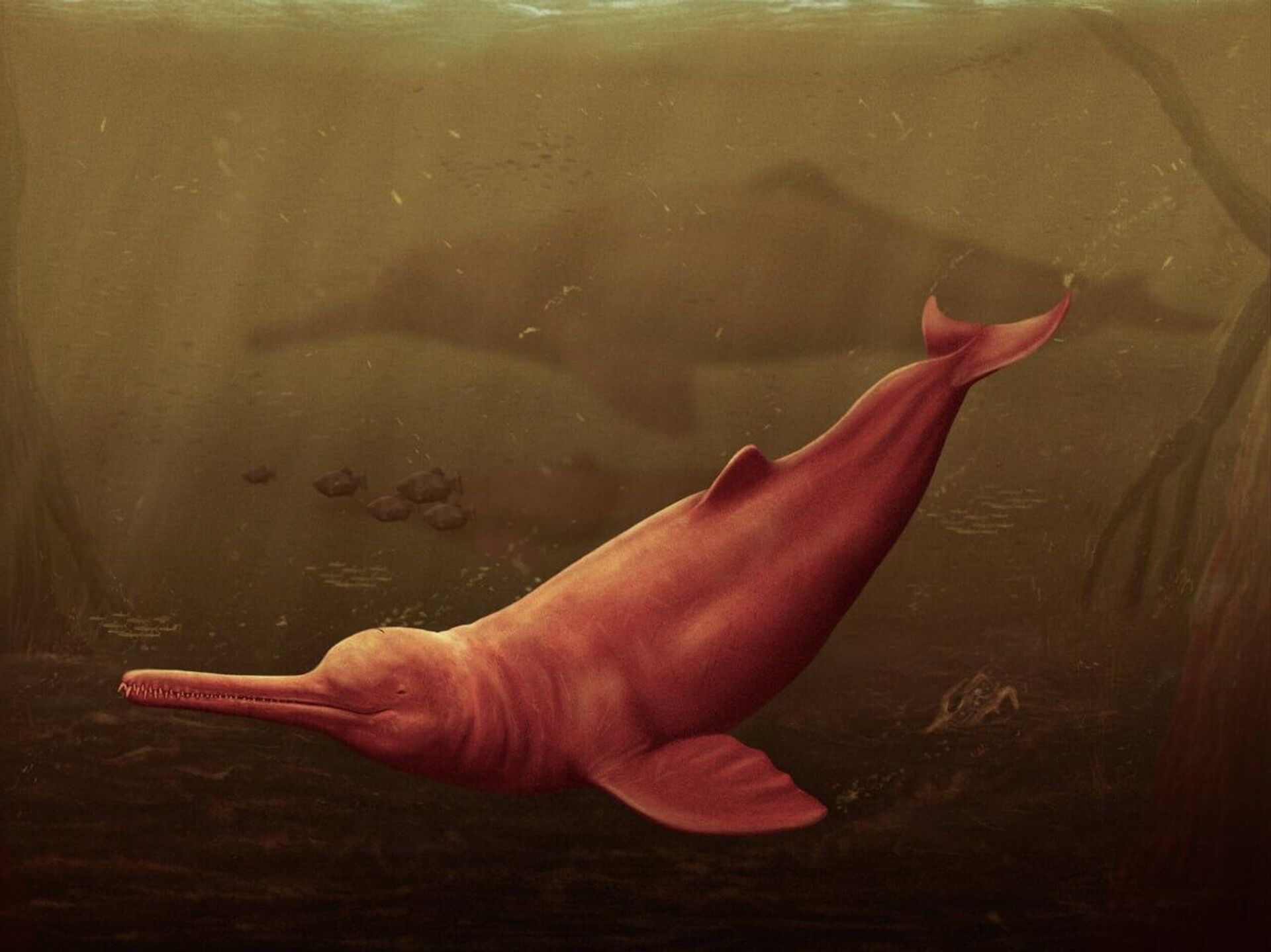 Passeios de Boto: Bate-volta de Manaus vs. Hospedagem em Hotel de Selva