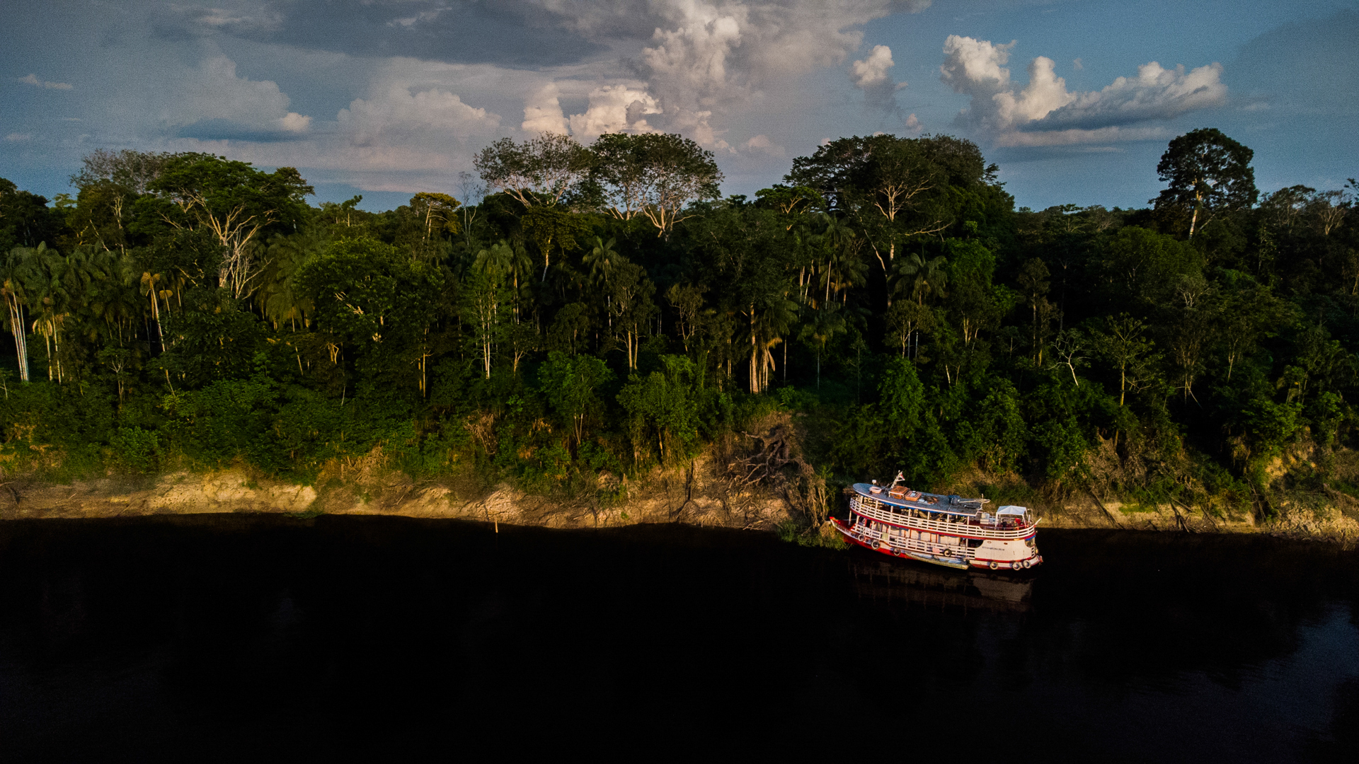 Além dos Botos: O Que Fazer em Manaus e Arredores