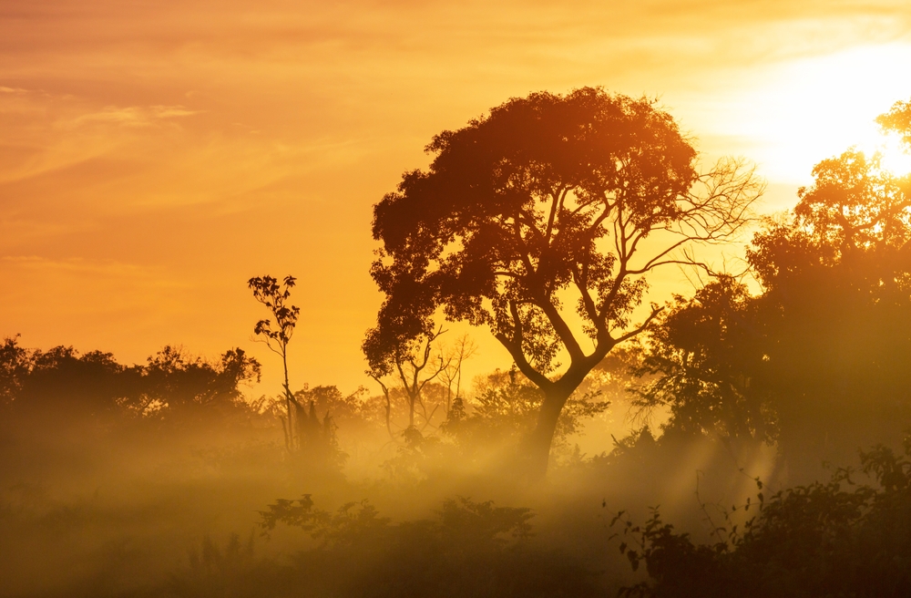 pantanal norte ou sul qual escolher