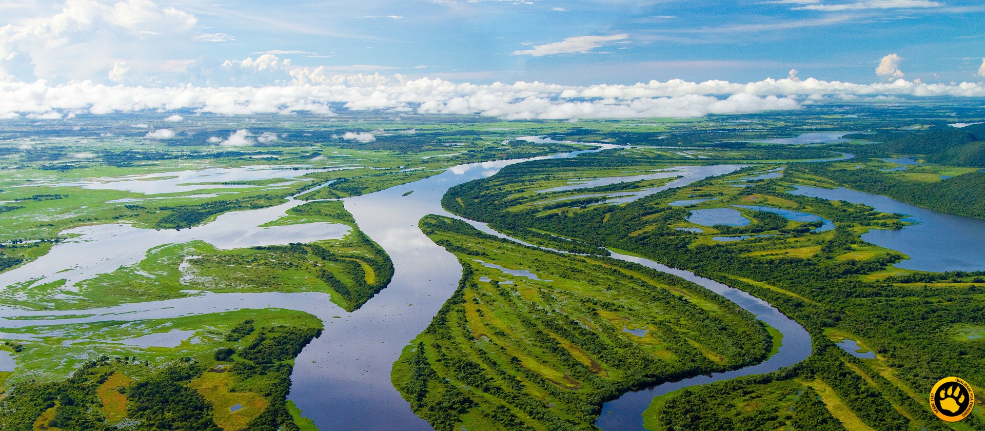 Guia Completo para Ver Onças-Pintadas em Porto Jofre
