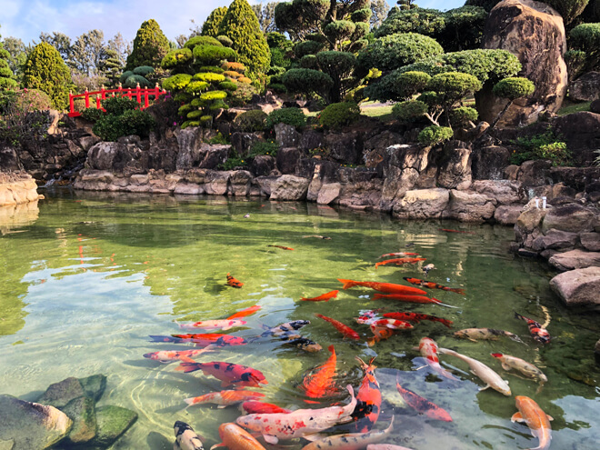 melhores pesqueiros em itu para pescar tilápia