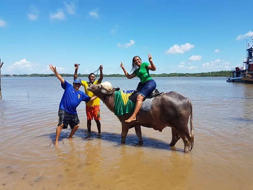 Guia Completo da Ilha de Marajó: O Que Fazer e Onde Ficar