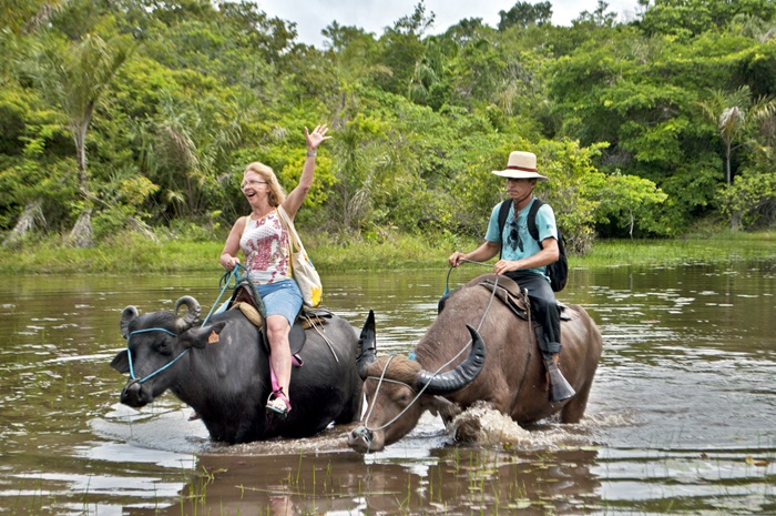 Gastronomia Marajoara: Sabores Únicos da Ilha