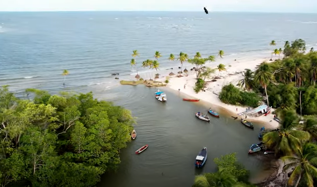 Gastronomia Marajoara: Sabores Únicos da Ilha