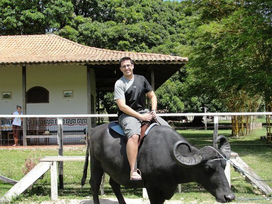 Gastronomia Marajoara: Sabores Únicos da Ilha