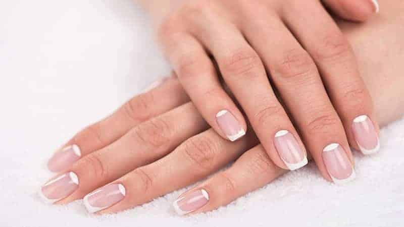 A Evolução da Francesinha: Do Clássico ao Moderno