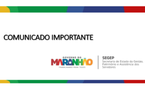 Portal da Transparência: Como Consultar Gastos e Contratos do Governo