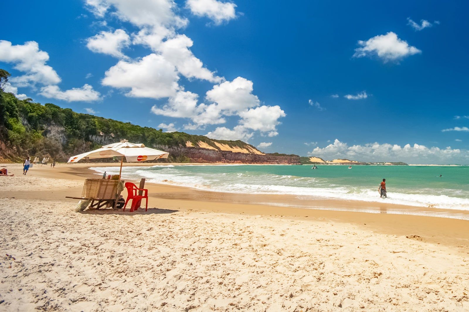 custo de viagem para baía dos golfinhos