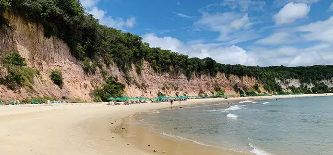 praia da pipa baia dos golfinhos