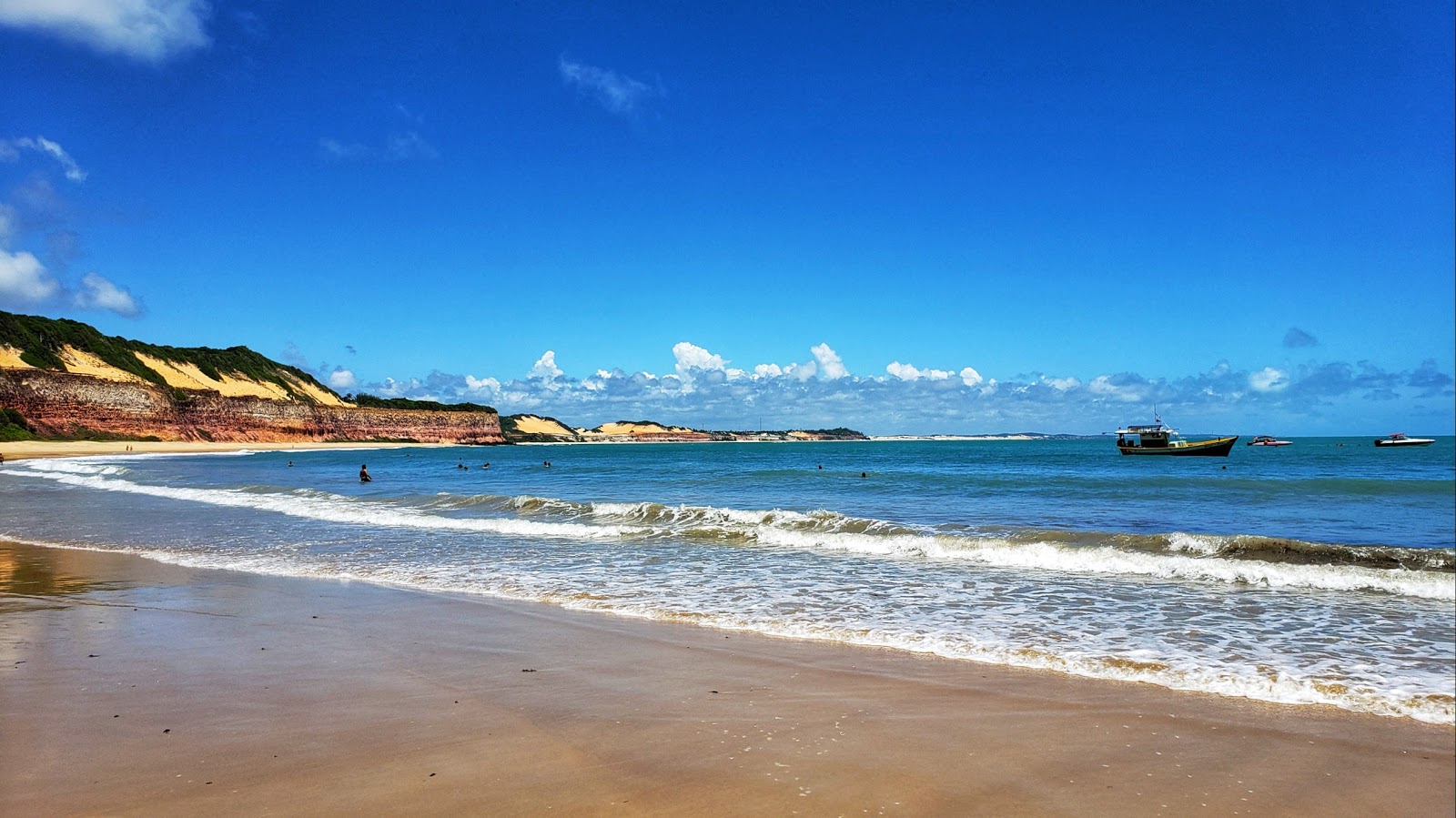 custo de viagem para baía dos golfinhos