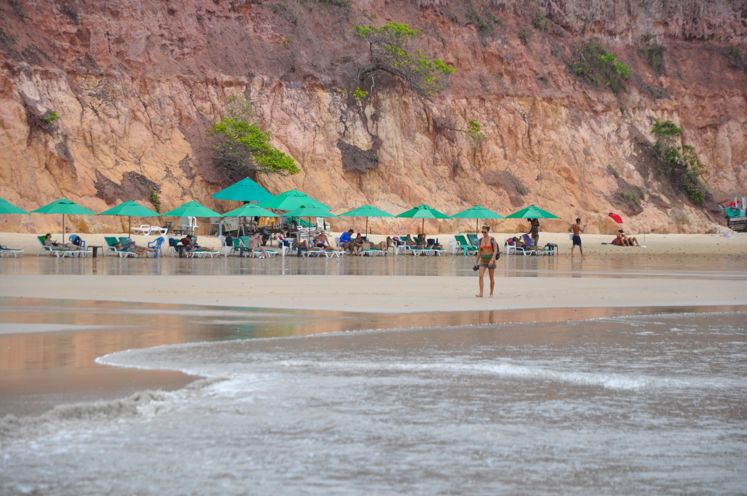 roteiro de 1 dia na baía dos golfinhos