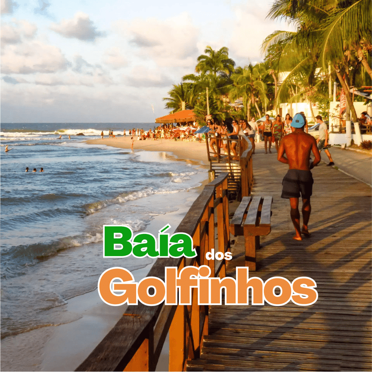 praia da pipa baia dos golfinhos