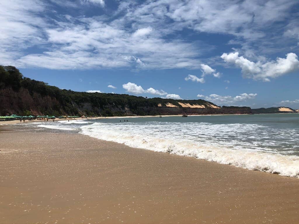 erros ao planejar visita à baía dos golfinhos