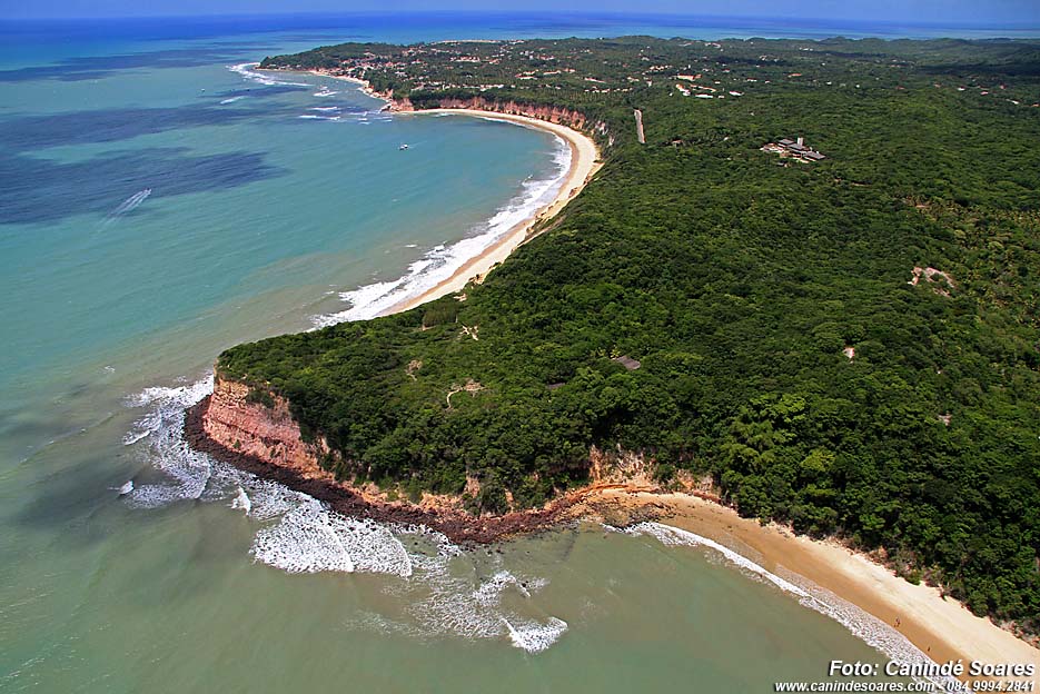 melhor época para ver golfinhos na baía dos golfinhos
