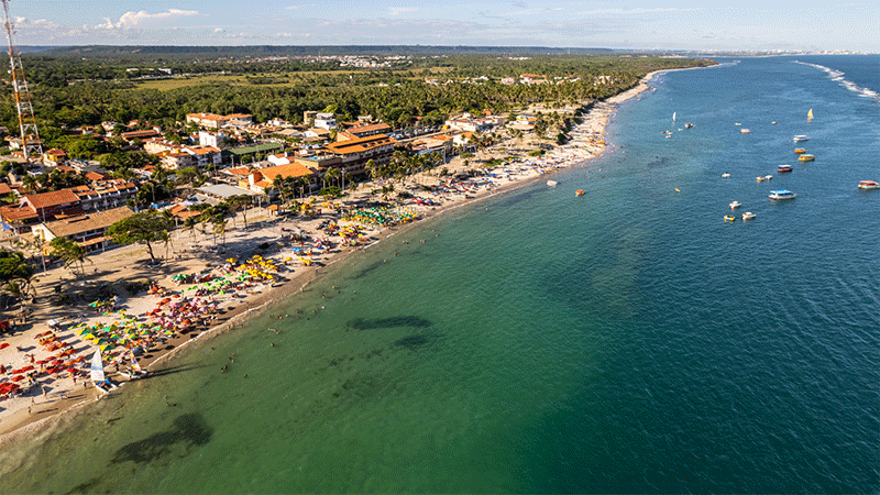 Descubra os Sabores da Praia do Francês: Onde Comer e Beber