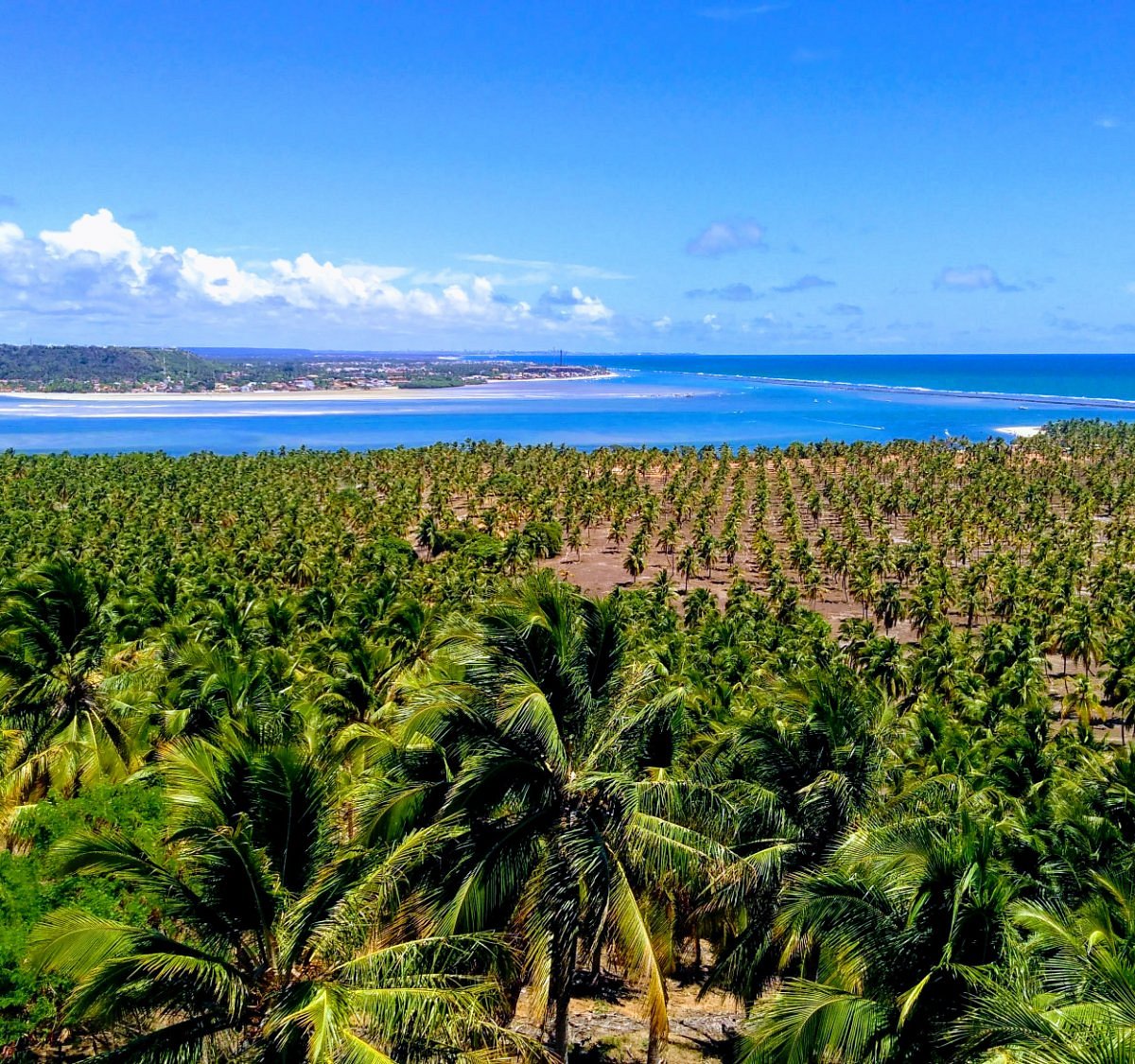 praia do gunga mirante
