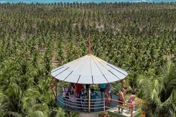 mirante do gunga vs praia do gunga