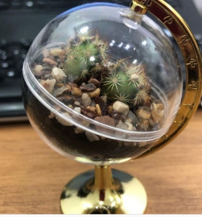 Presentes criativos e baratos para o amigo secreto do escritório