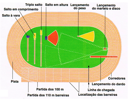 1. Guia Completo das Provas de Pista do Atletismo
2. Desvendando as Provas de Campo: Saltos e Lançamentos
3. Atletismo para Iniciantes: Entenda as Principais Modalidades
4. Recordes e Curiosidades das Provas de Rua no Atletismo
5. Decatlo e Heptatlo: Os Desafios das Provas Combinadas