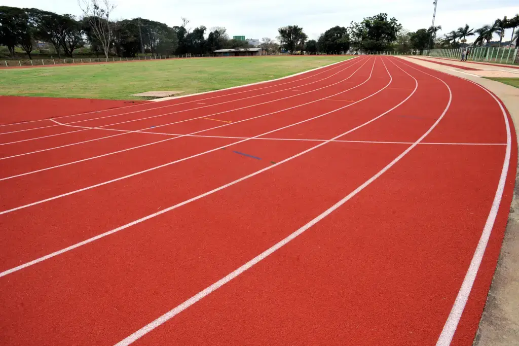 1. Guia Completo das Provas de Pista do Atletismo
2. Desvendando as Provas de Campo: Saltos e Lançamentos
3. Atletismo para Iniciantes: Entenda as Principais Modalidades
4. Recordes e Curiosidades das Provas de Rua no Atletismo
5. Decatlo e Heptatlo: Os Desafios das Provas Combinadas