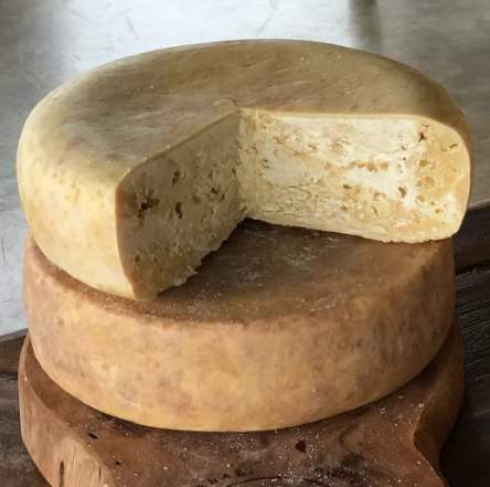 comprar queijo da canastra direto do produtor