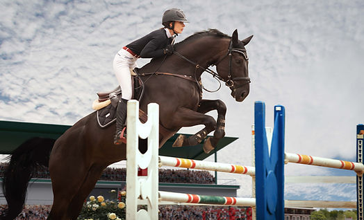 Entenda as Penalidades e Faltas no Hipismo de Salto: Um Guia Detalhado