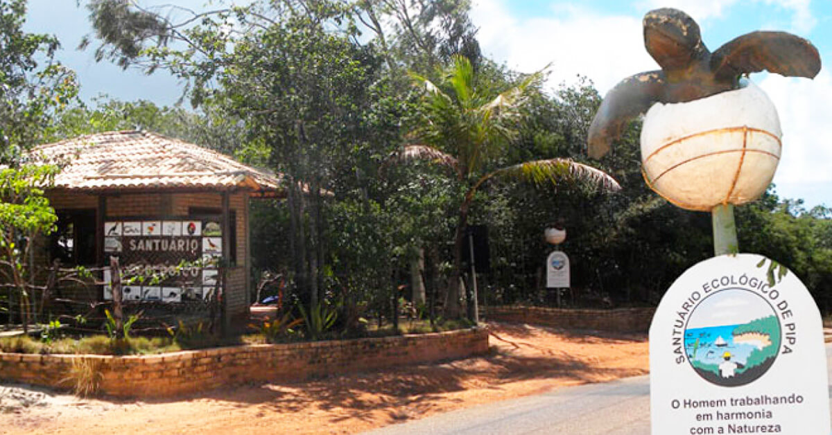 Guia Completo das Trilhas do Santuário Ecológico de Pipa: Níveis de Dificuldade e Dicas