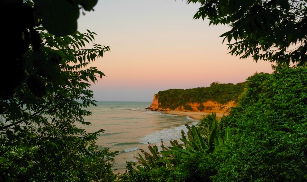 Projeto TAMAR em Pipa: Conheça o Trabalho de Conservação no Santuário Ecológico