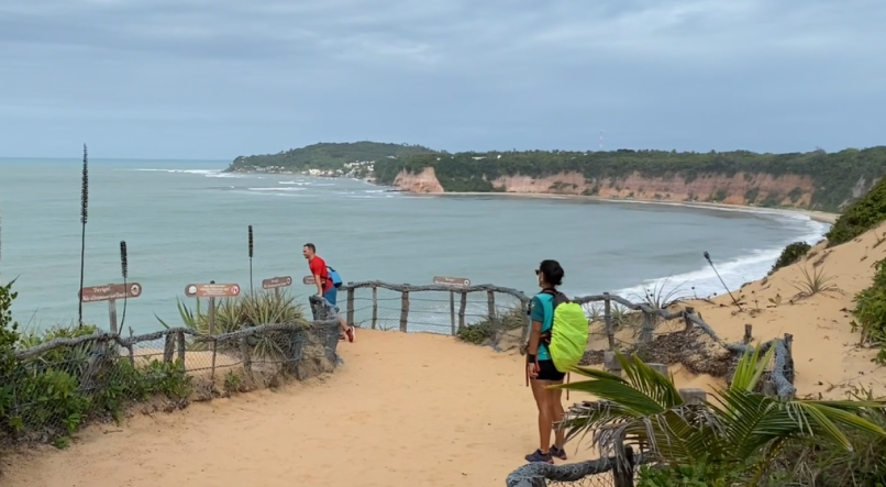 Melhores Horários para Avistar Golfinhos e Tartarugas no Santuário Ecológico de Pipa