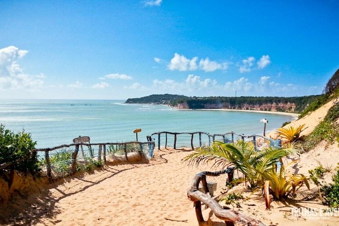 Praia do Madeiro: Como Acessar pelo Santuário Ecológico de Pipa e o Que Fazer