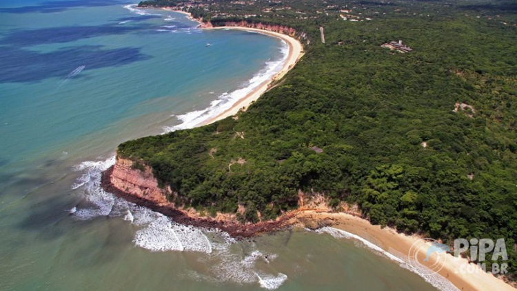 Projeto TAMAR em Pipa: Conheça o Trabalho de Conservação no Santuário Ecológico