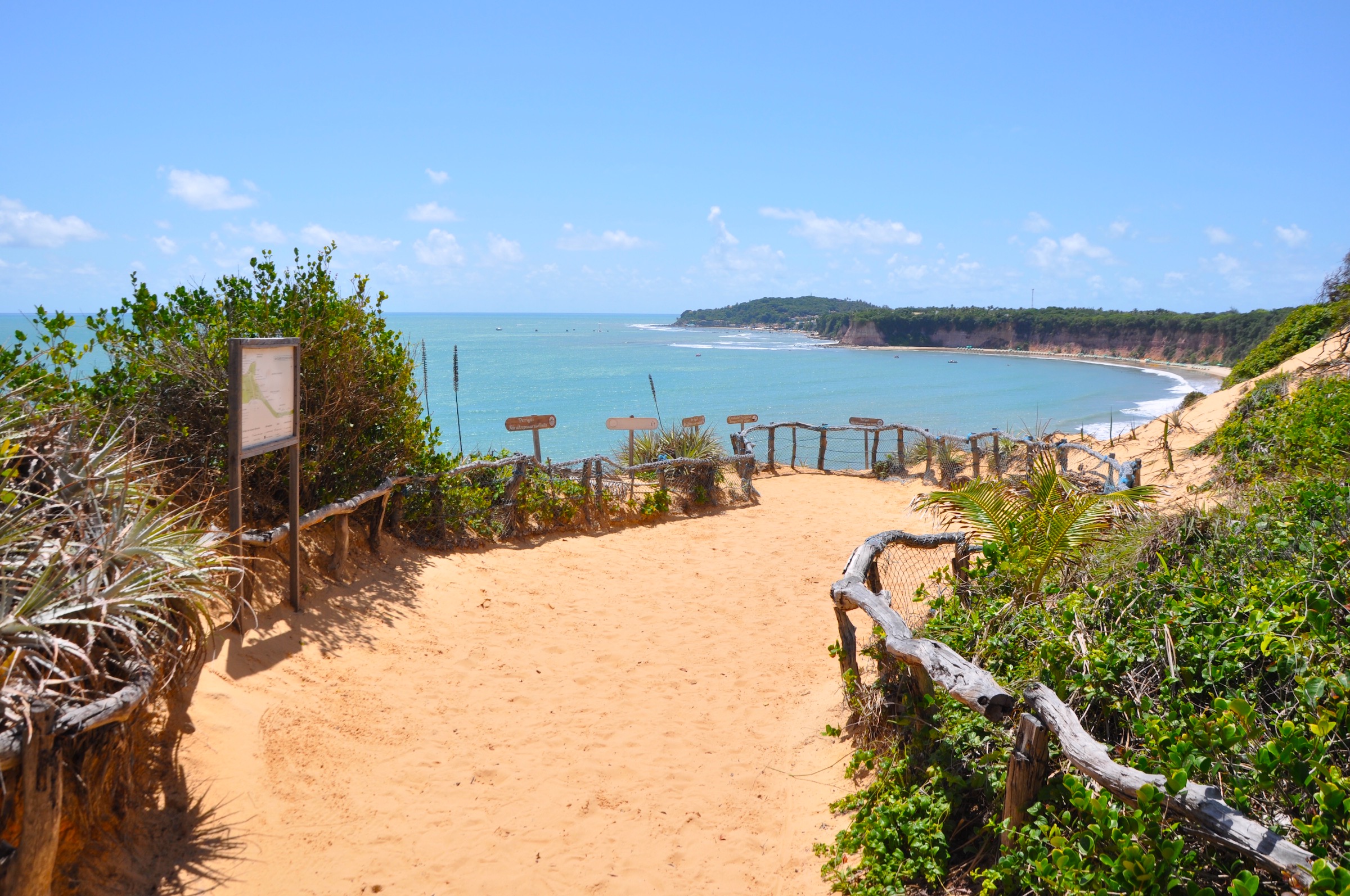 Melhores Horários para Avistar Golfinhos e Tartarugas no Santuário Ecológico de Pipa