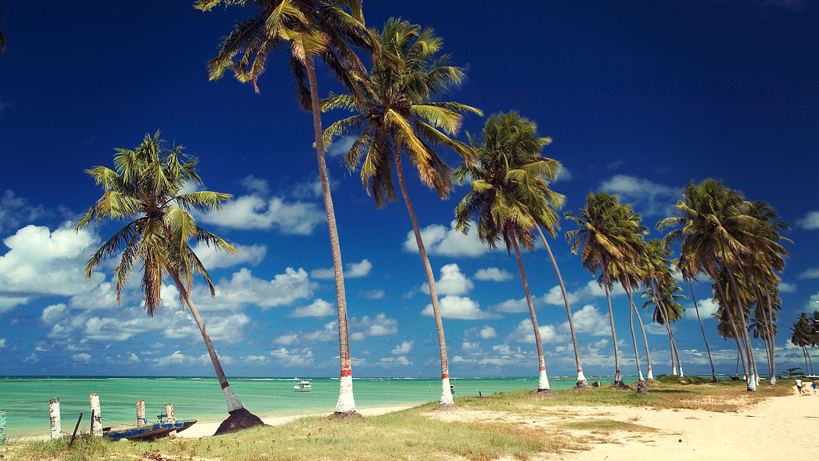 Wingfoil em São Miguel do Gostoso: Quando Ir e Onde Praticar