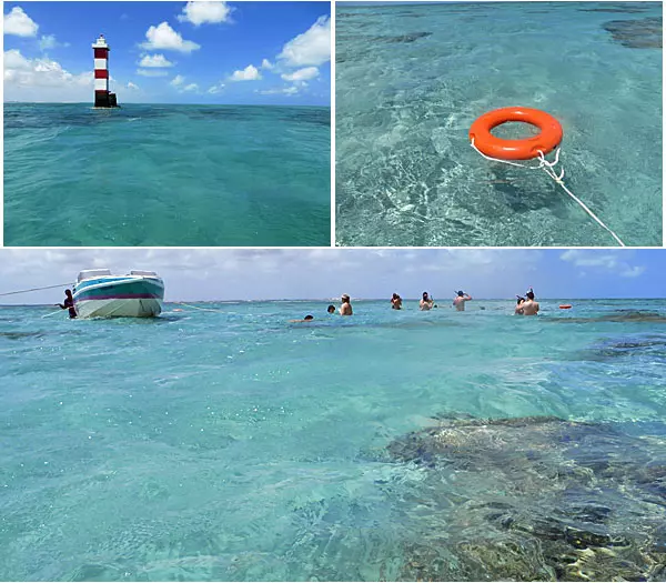 Windsurf em São Miguel do Gostoso: A Melhor Época e os Pontos Ideais