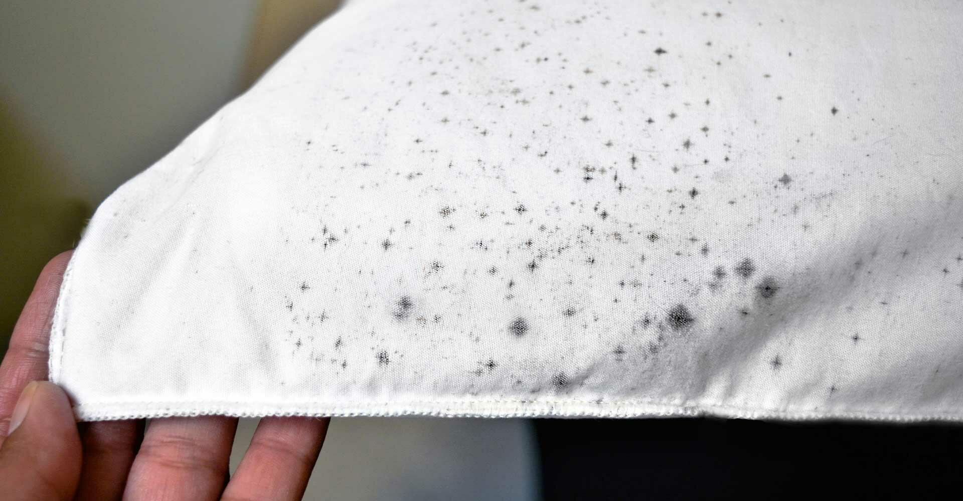 sbolos de mofo nas roupas como evitar